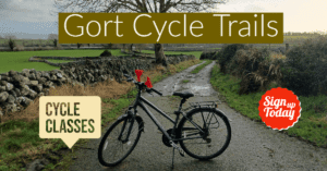 Cycle Classes in Gort