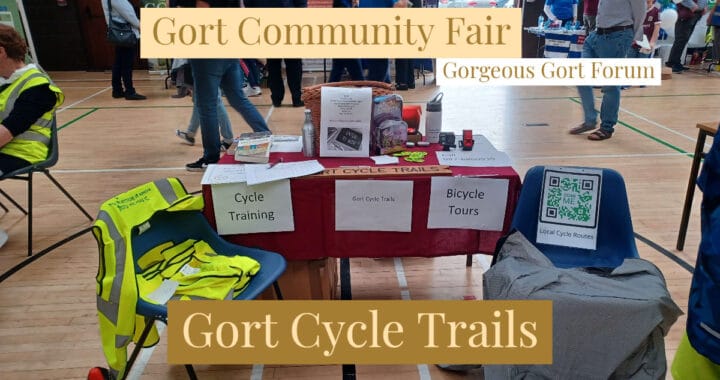 Gort Community Fair